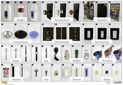 The Functional Tactile Object Recognition Test: A Unidimensional Measure With Excellent Internal Consistency for Haptic Sensing of Real Objects After Stroke